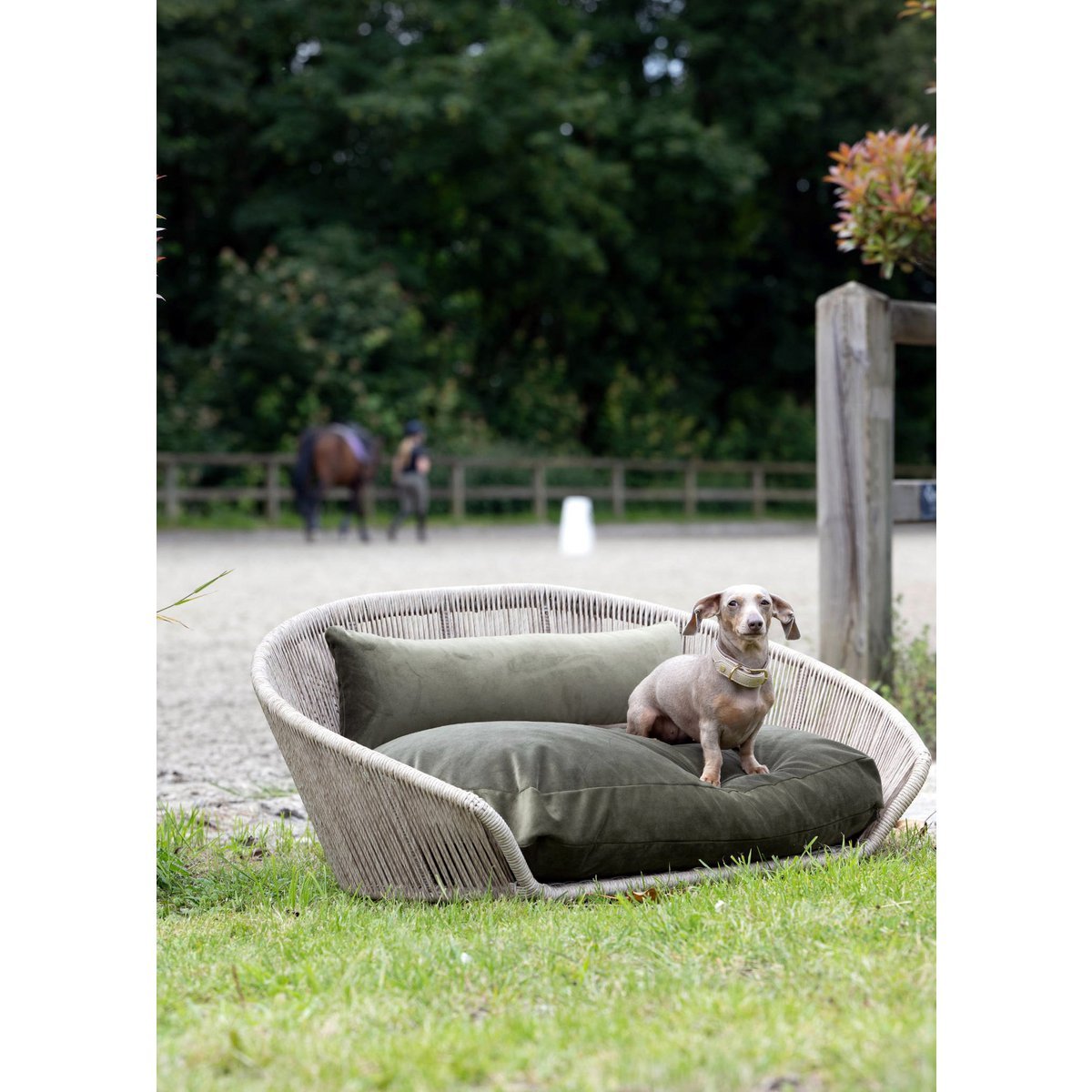 VOGUE - Design-Hundebett OXFORD