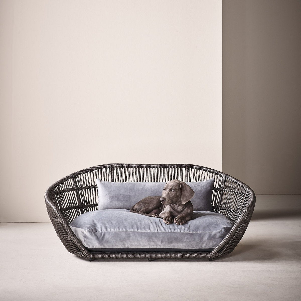 PRADO - Design-Hundebett OXFORD