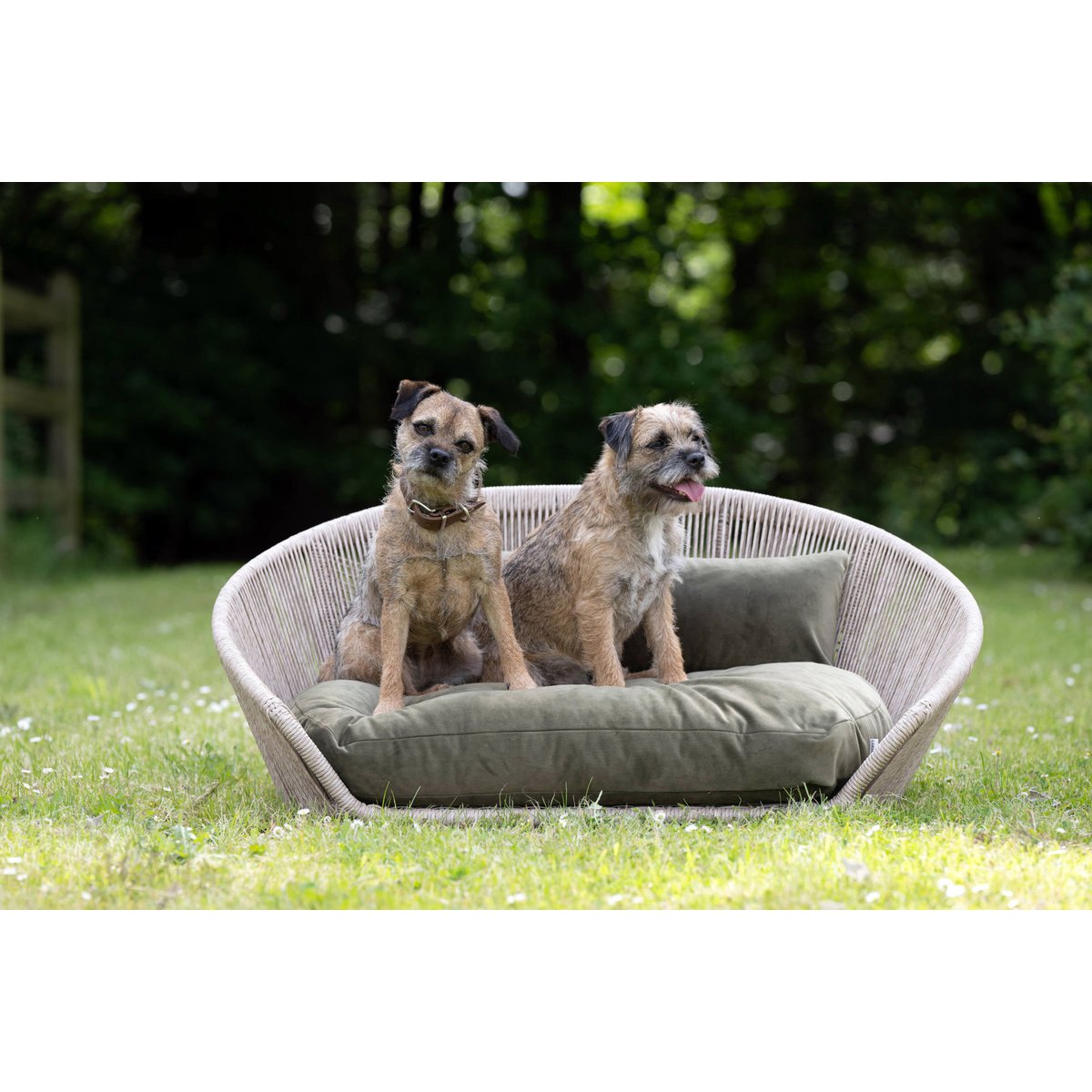 VOGUE - Design-Hundebett OXFORD