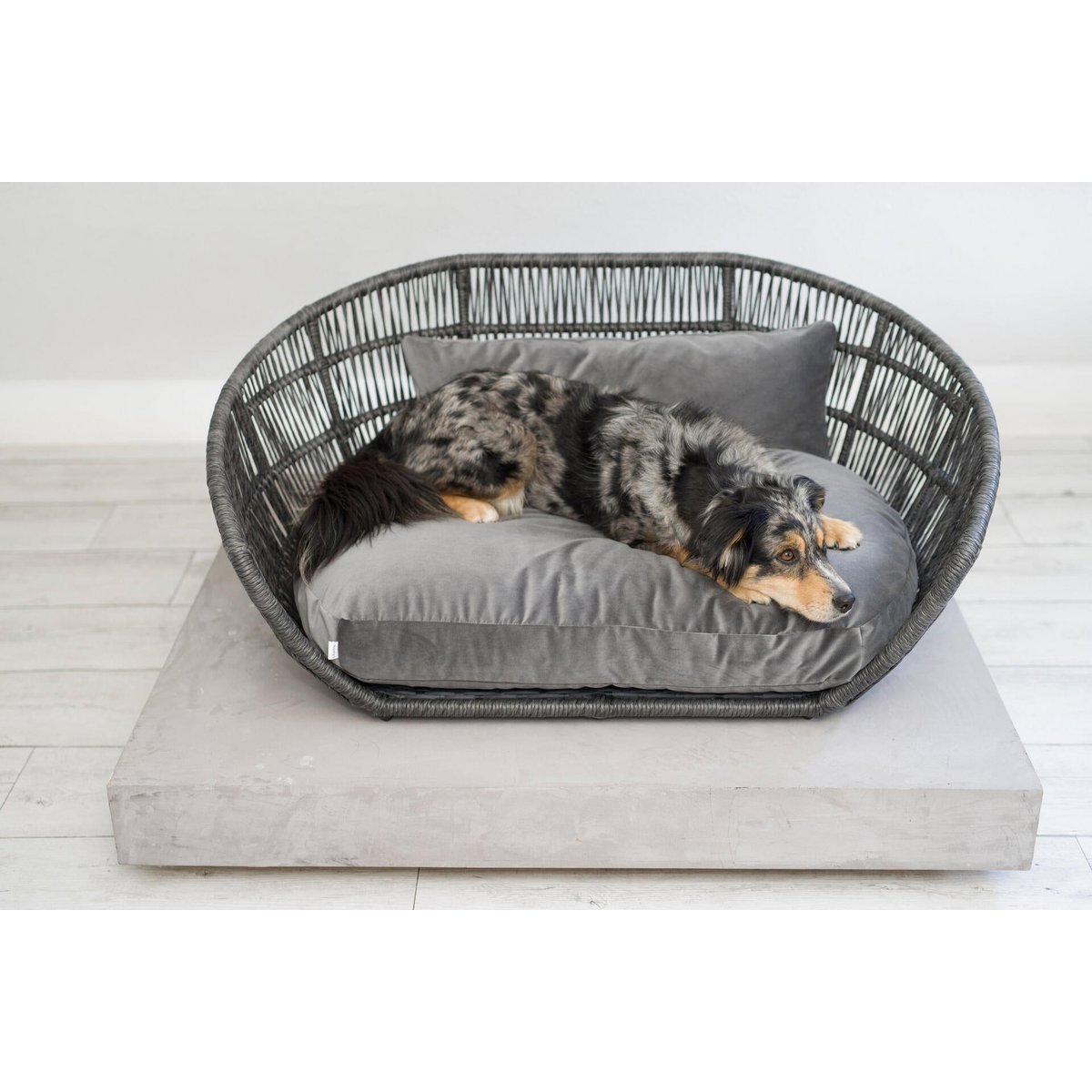 PRADO - Design-Hundebett OXFORD