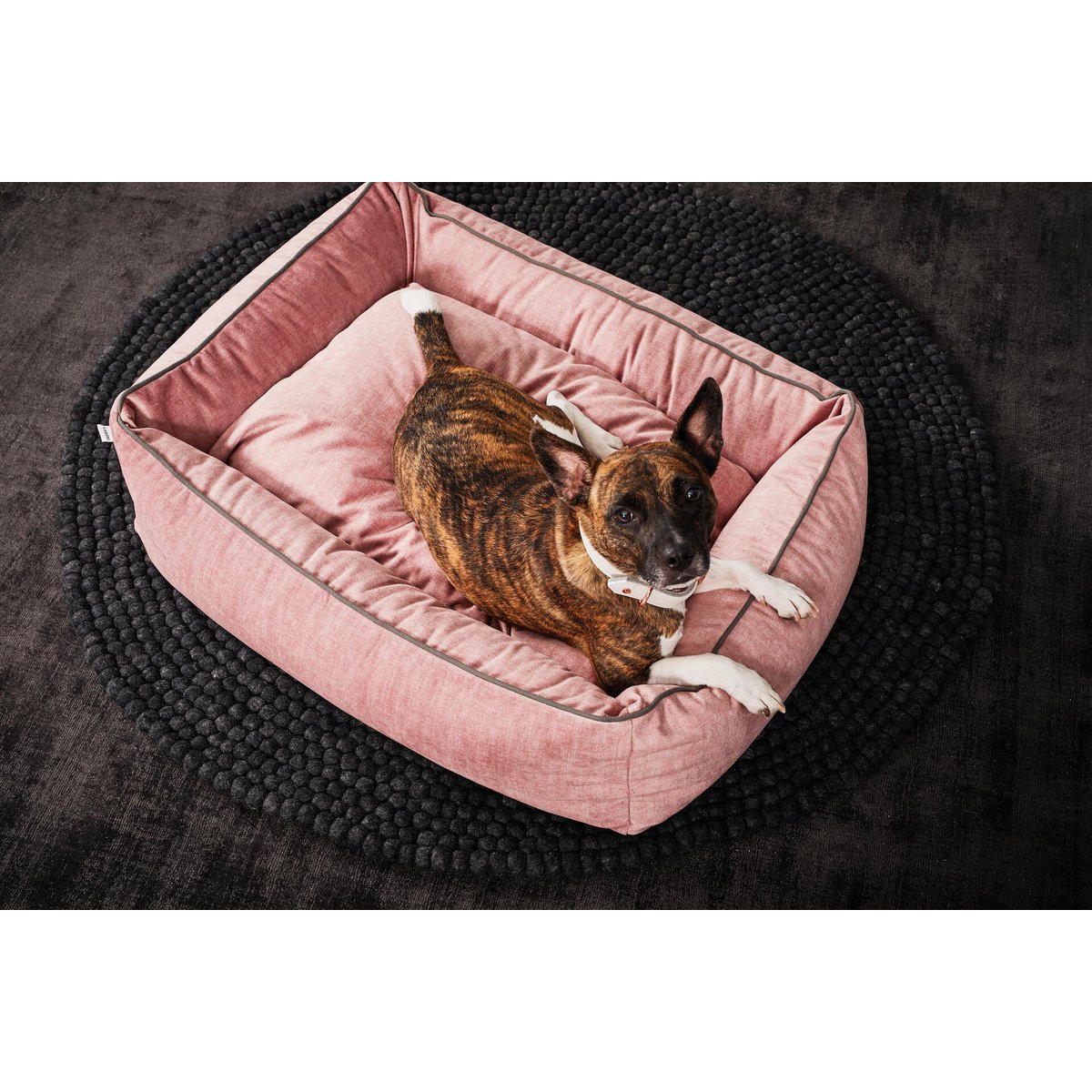 ORTHO Hundebett - GLAM ROSE