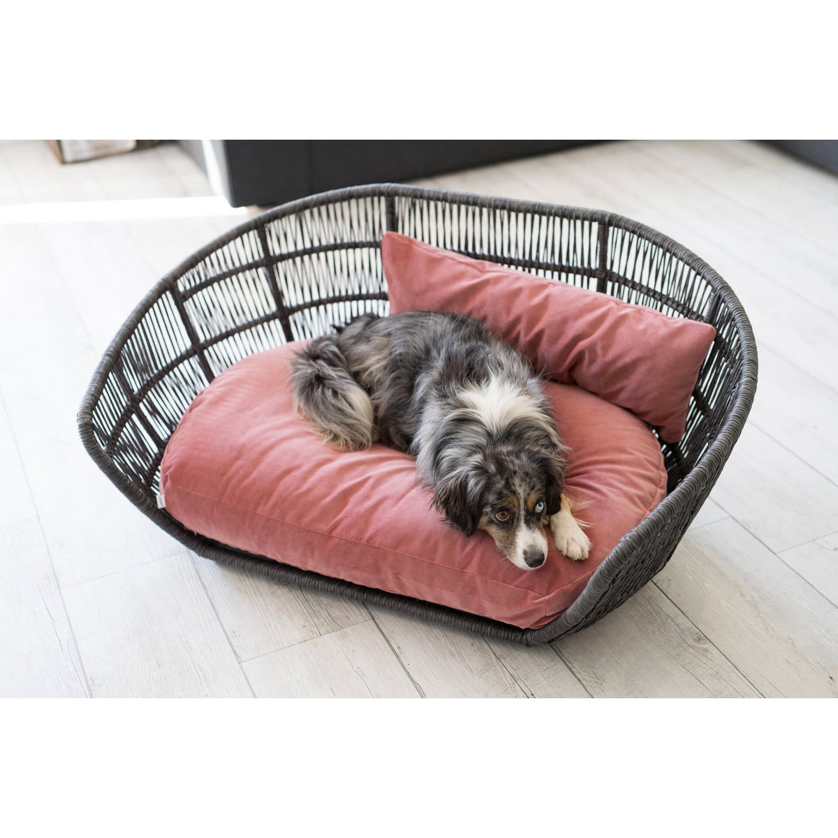 PRADO - Design-Hundebett OXFORD