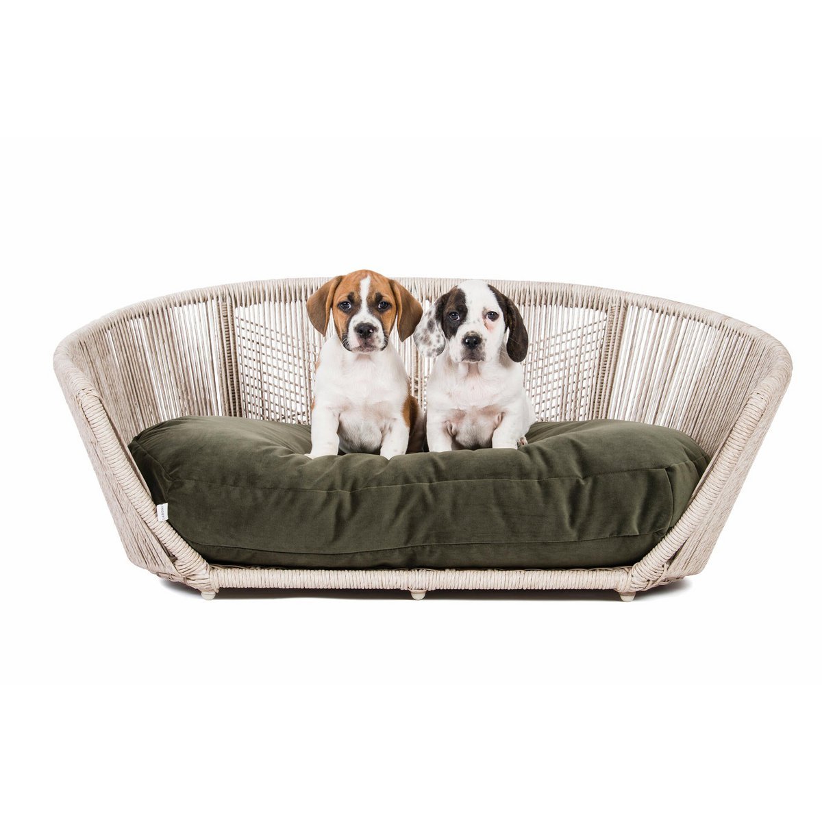 VOGUE - Design-Hundebett OXFORD