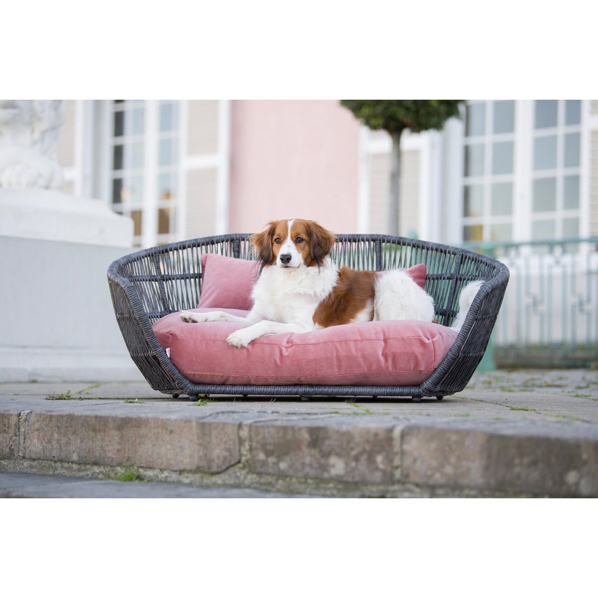 PRADO - Design-Hundebett OXFORD