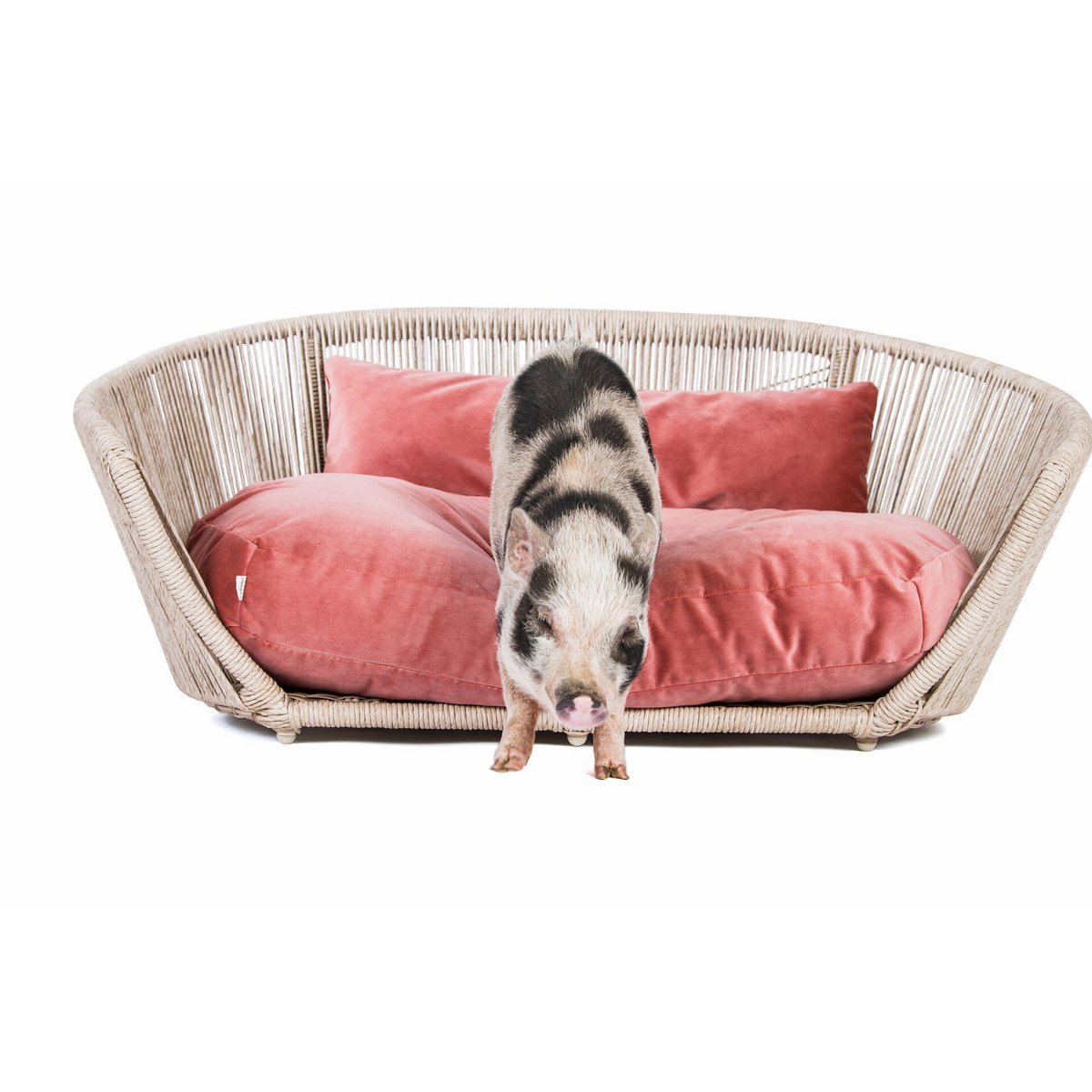 VOGUE - Design-Hundebett OXFORD