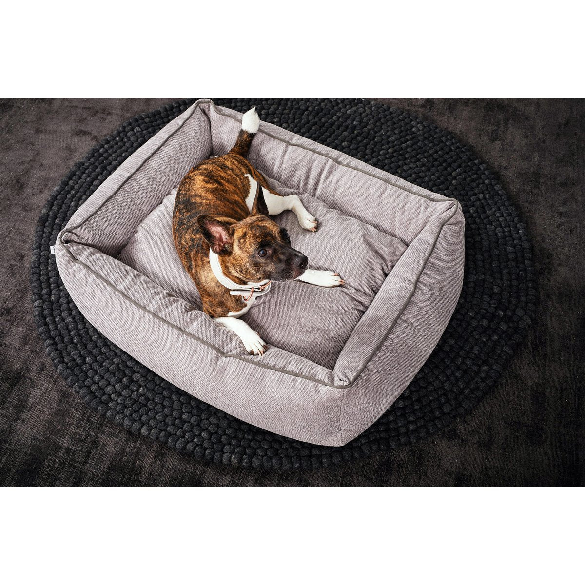 ORTHO Hundebett - ECO