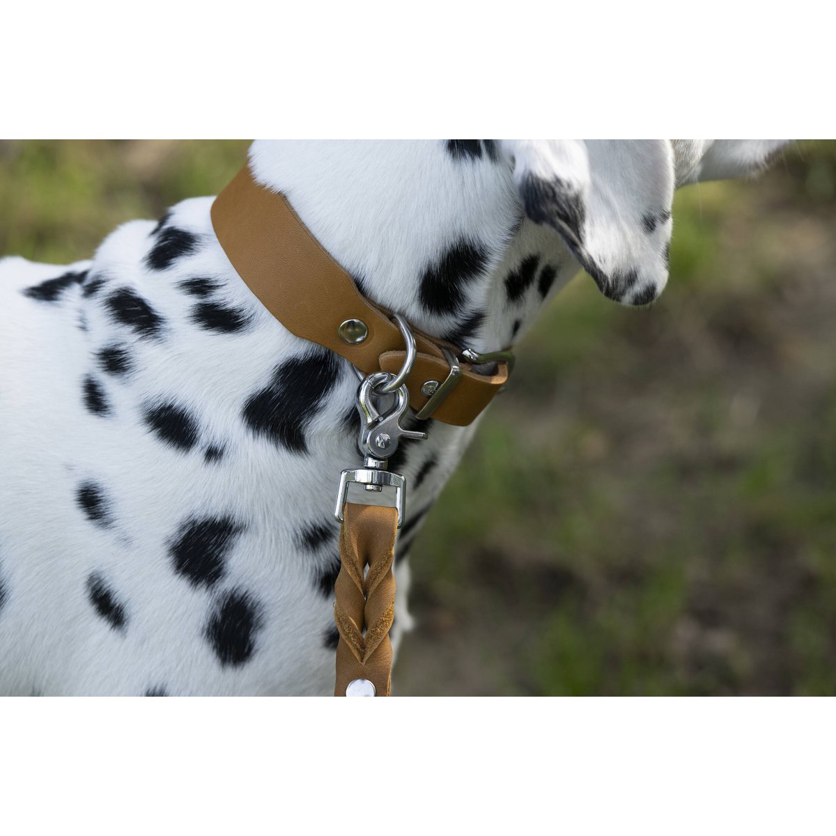 GIRO Dog Leash Honey