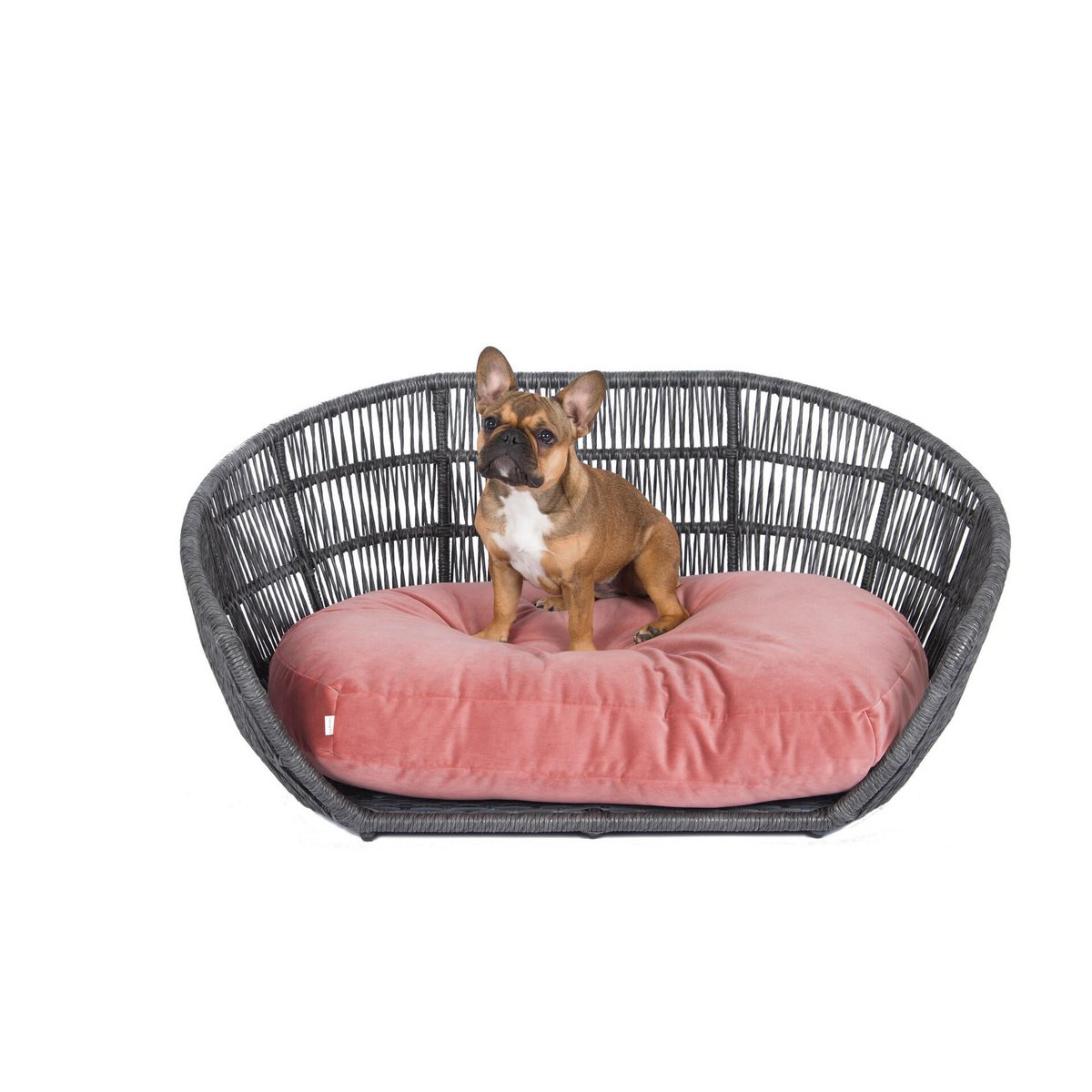 PRADO - Design-Hundebett OXFORD