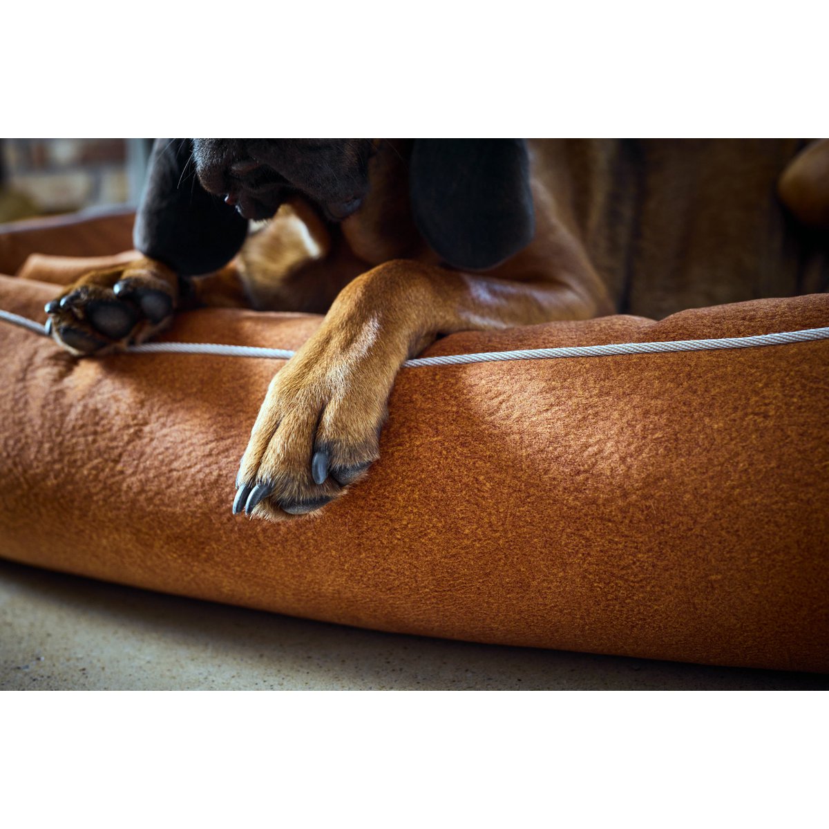 CLASSIC Hundebett - BUFFALO CAMEL