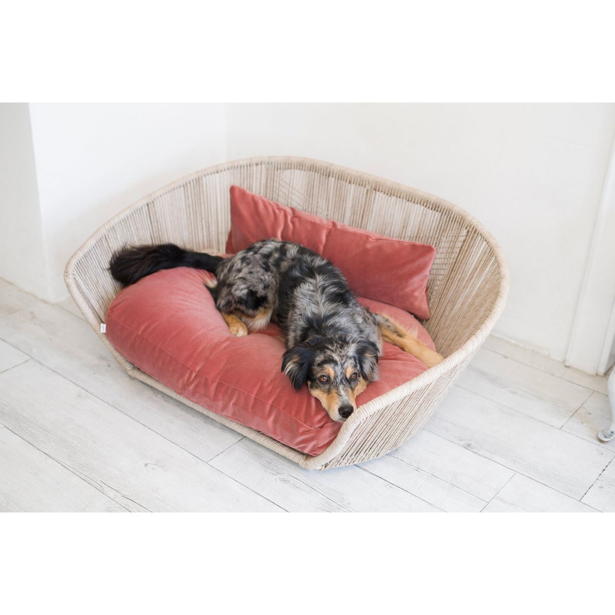 VOGUE - Design-Hundebett OXFORD