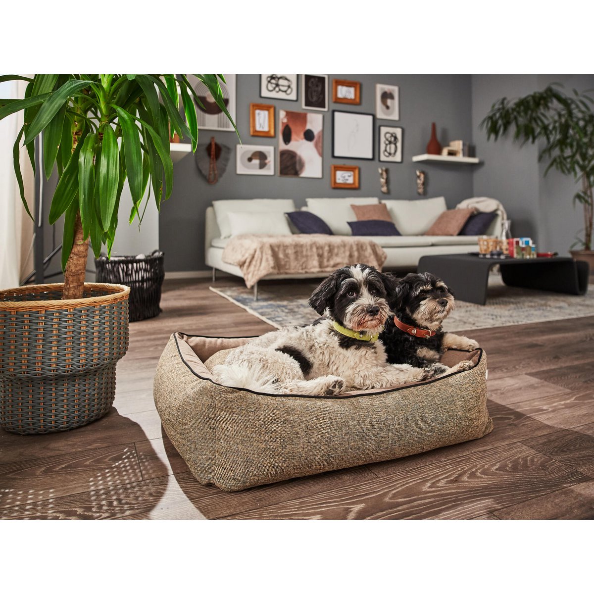 ORTHO Hundebett - SCALA