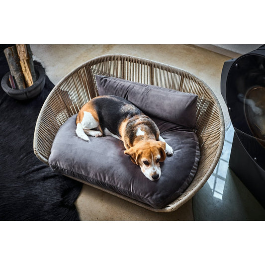 VOGUE - Design-Hundebett OXFORD