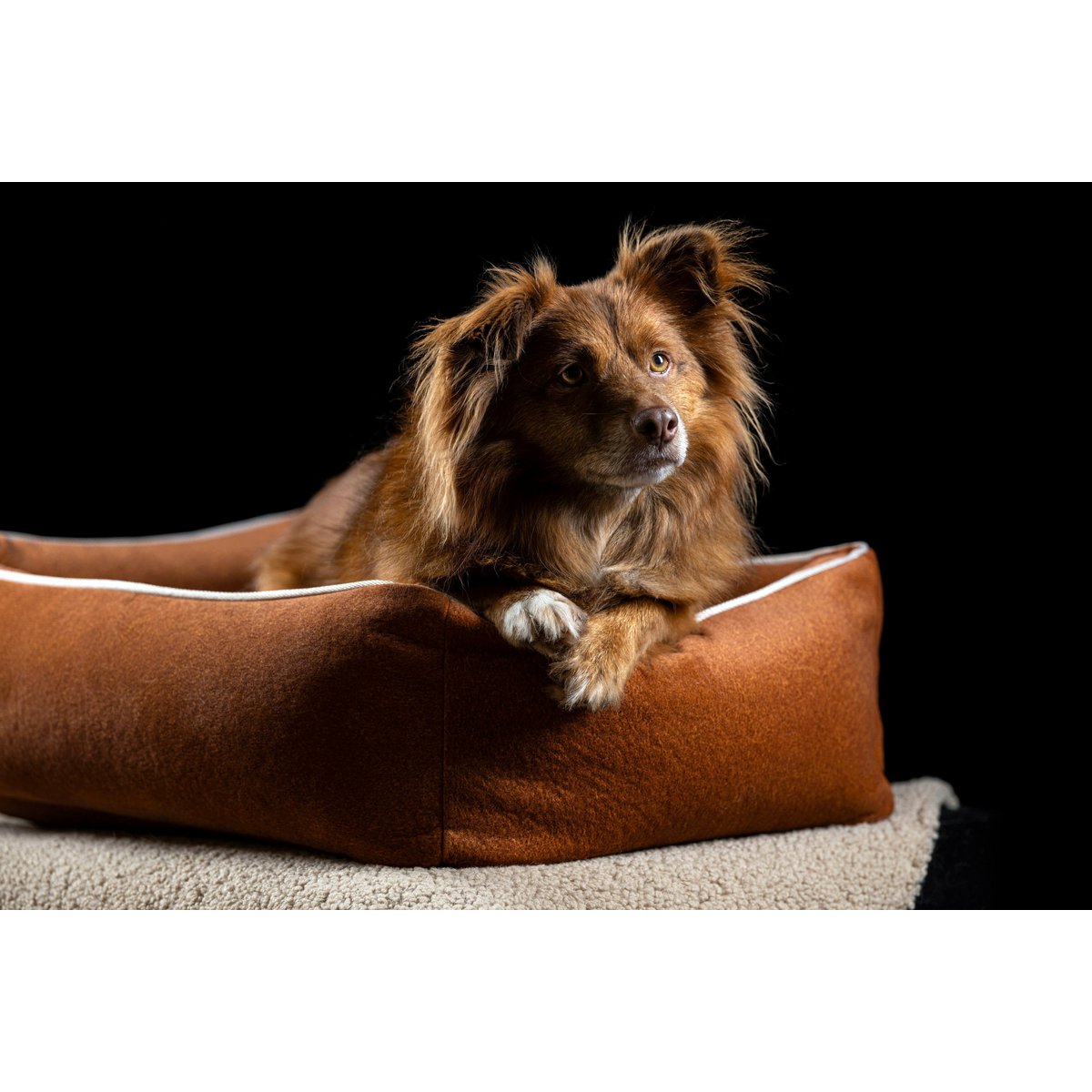 CLASSIC Hundebett - BUFFALO CAMEL