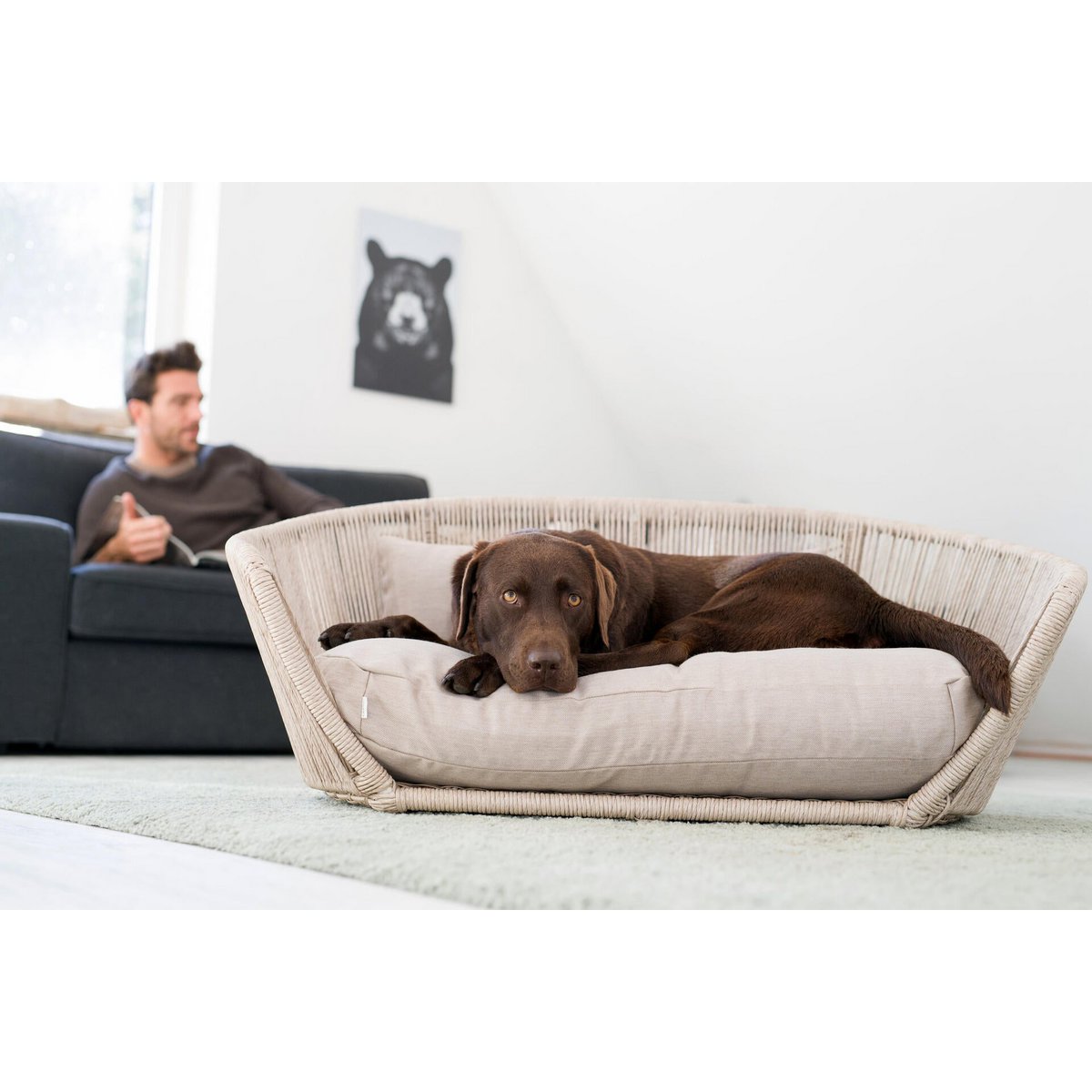 VOGUE - Design-Hundebett SMOOTH