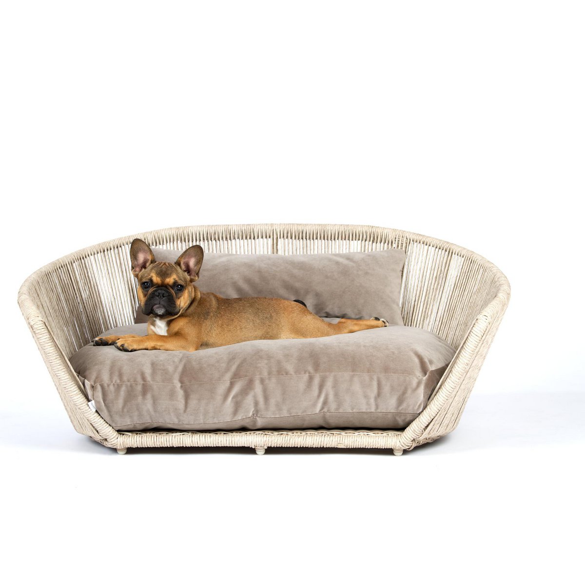 VOGUE - Design-Hundebett OXFORD