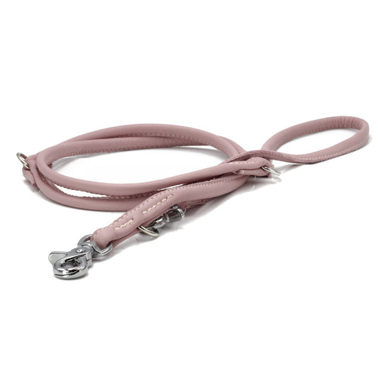 AMICI Dog Leash Rose