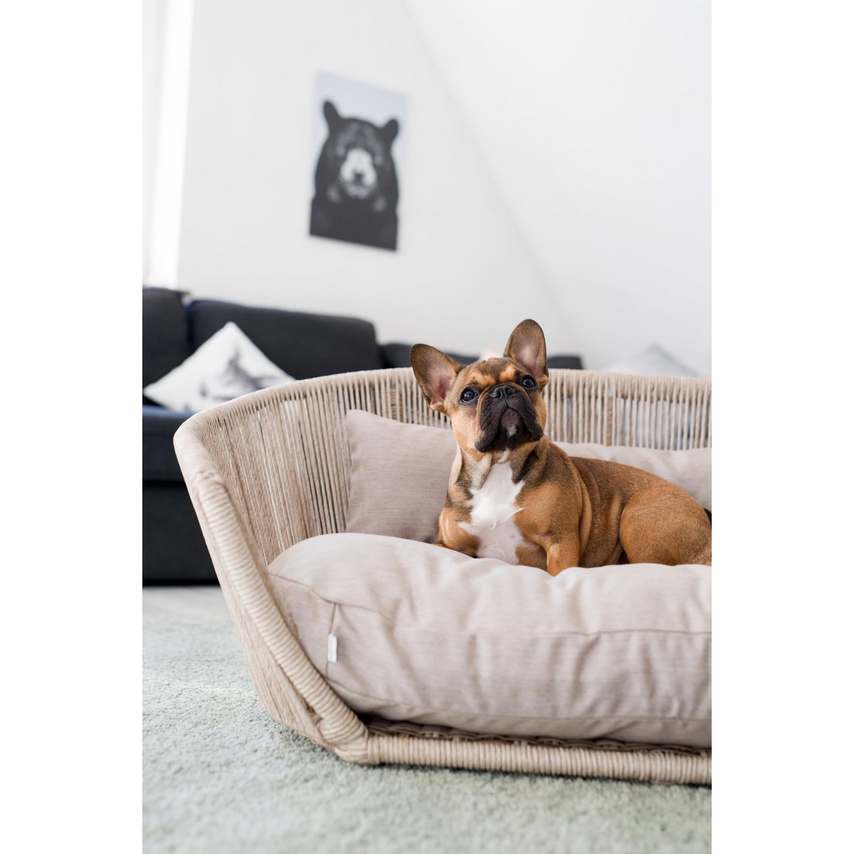 VOGUE - Design-Hundebett SMOOTH