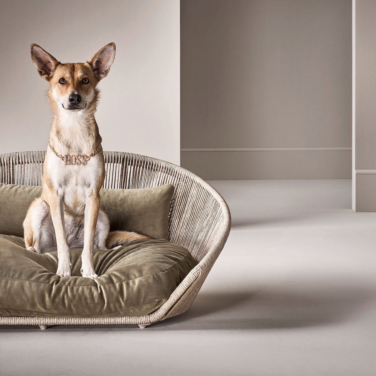 VOGUE - Design-Hundebett OXFORD