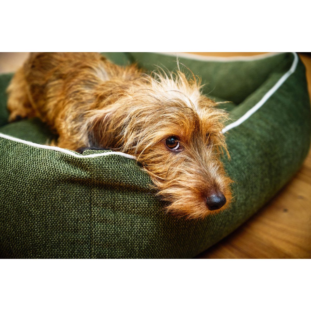 CLASSIC Hundebett - ECO GREEN