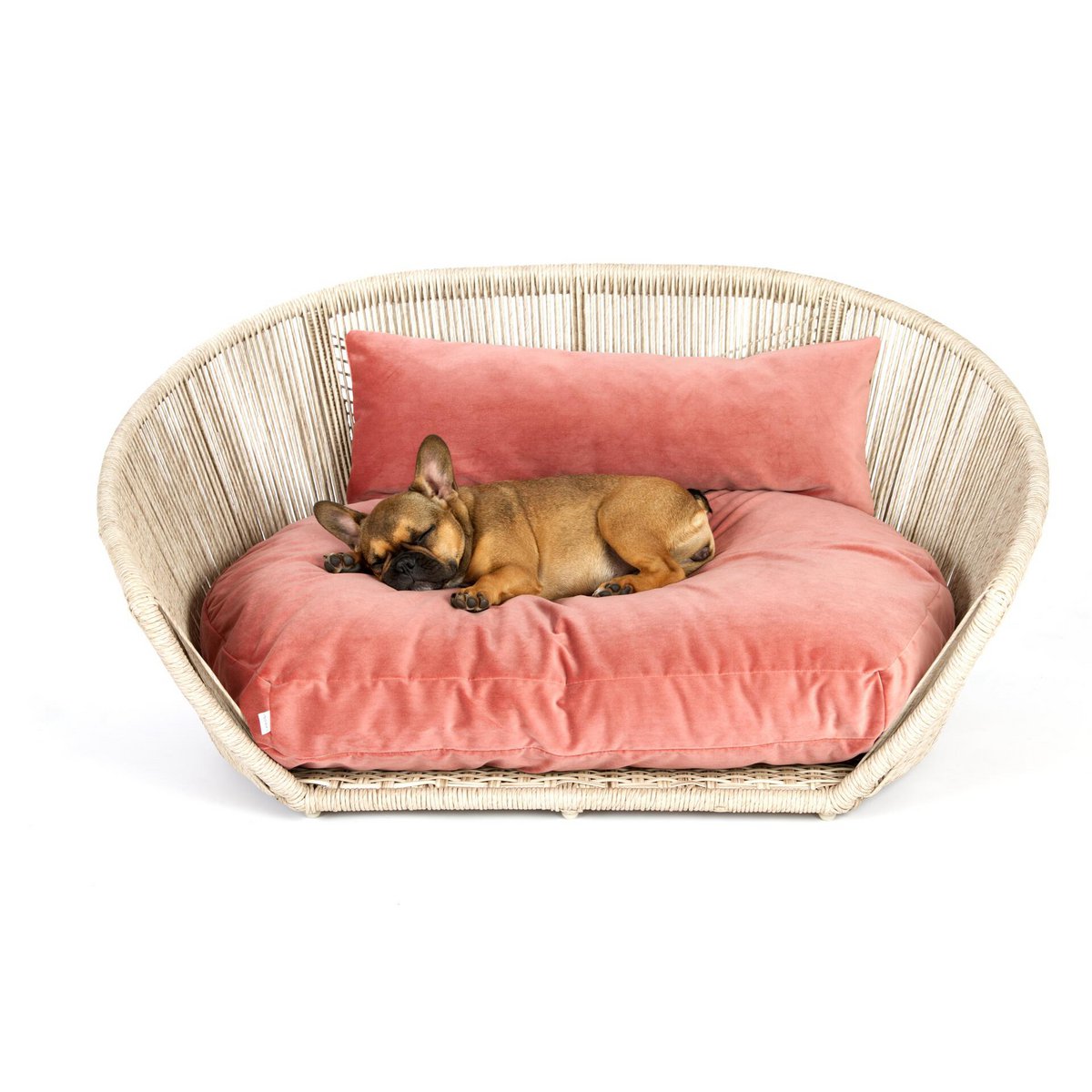 VOGUE - Design-Hundebett OXFORD