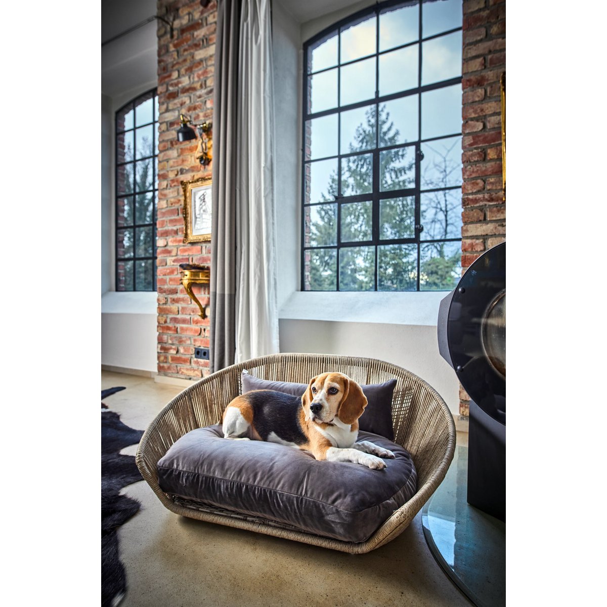 VOGUE - Design-Hundebett OXFORD