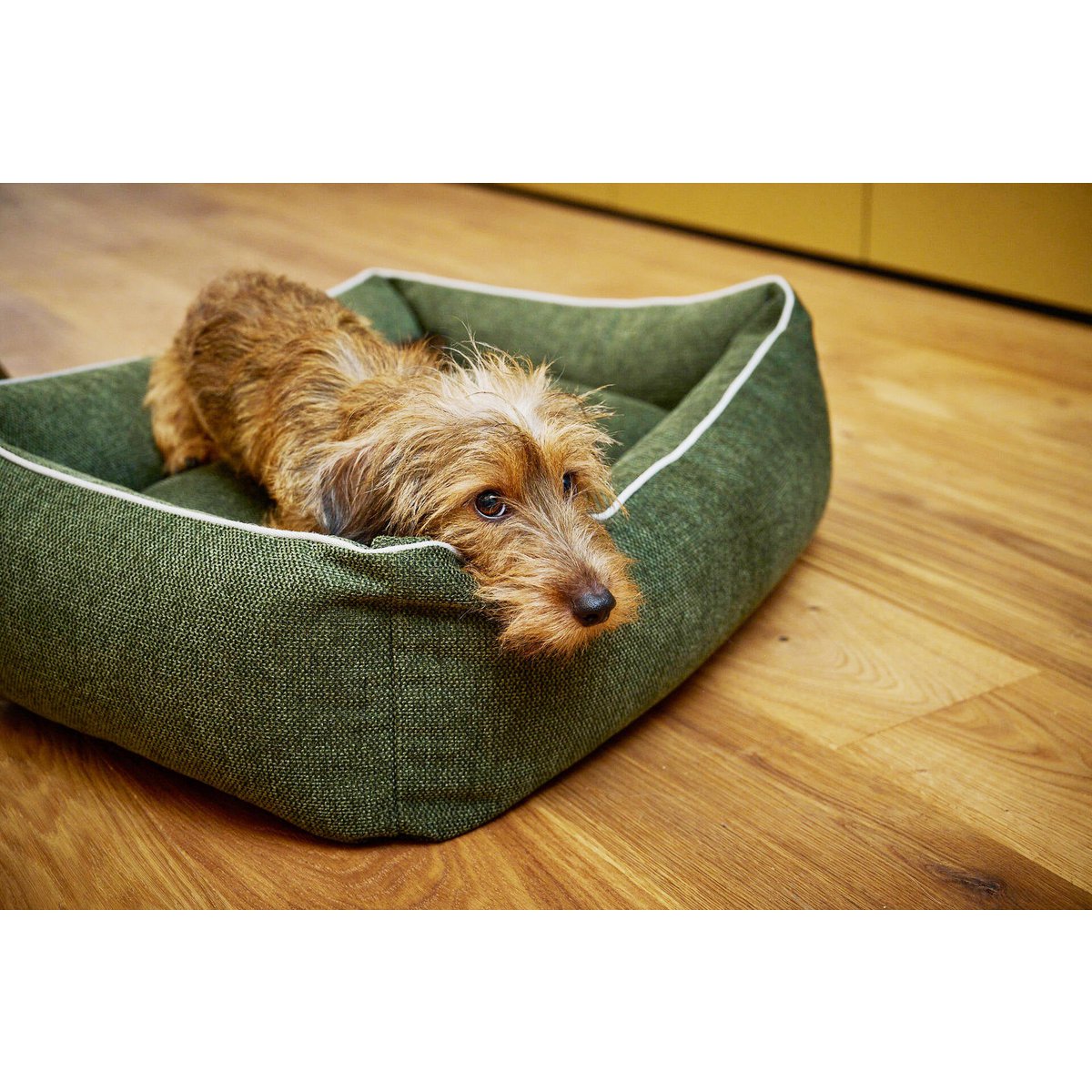 CLASSIC Hundebett - ECO GREEN