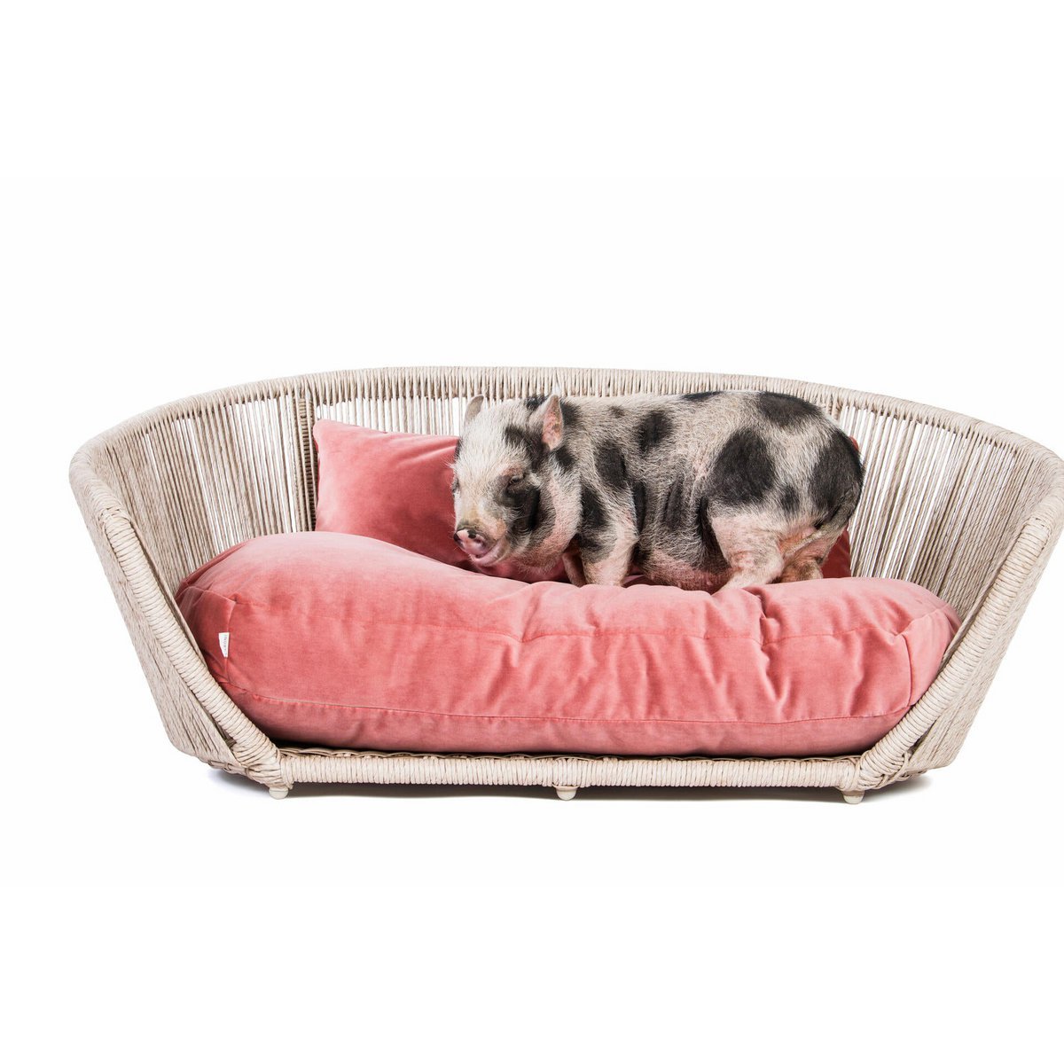 VOGUE - Design-Hundebett OXFORD