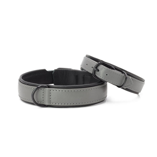 AMICI Dog Collar Anthrazit