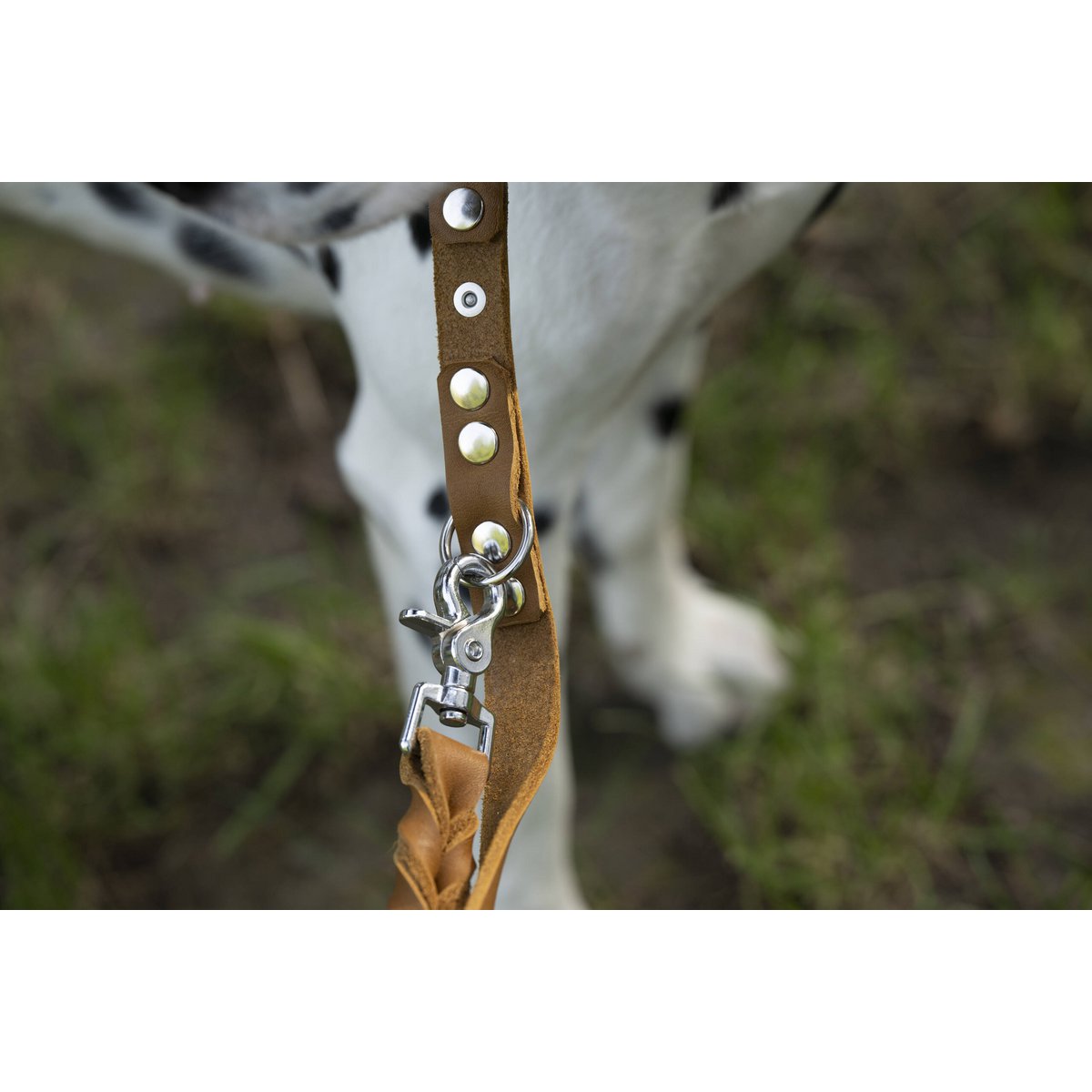 GIRO Dog Leash Honey