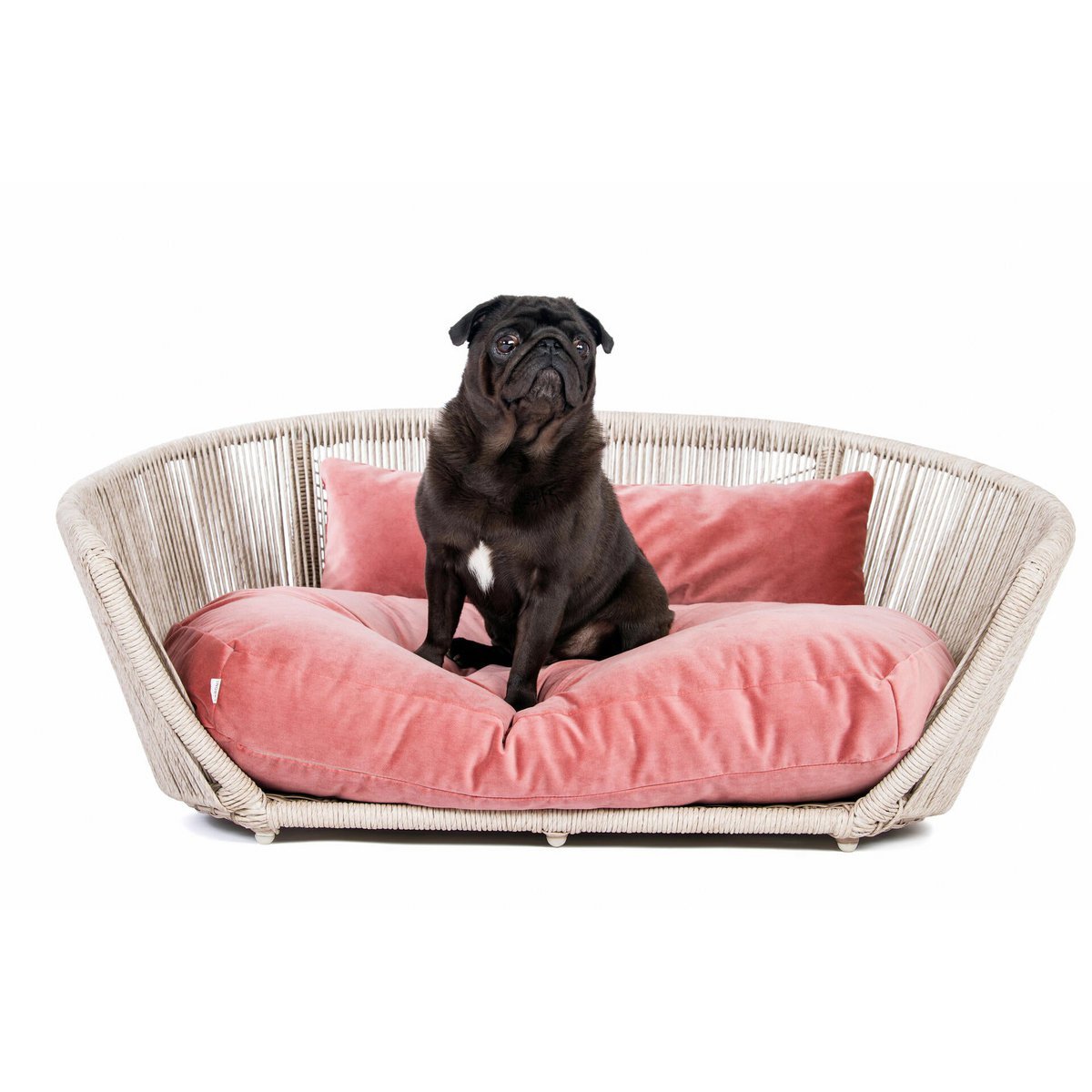 VOGUE - Design-Hundebett OXFORD